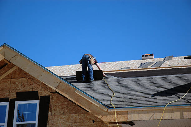 Best Storm Damage Roof Repair  in Tripoli, IA