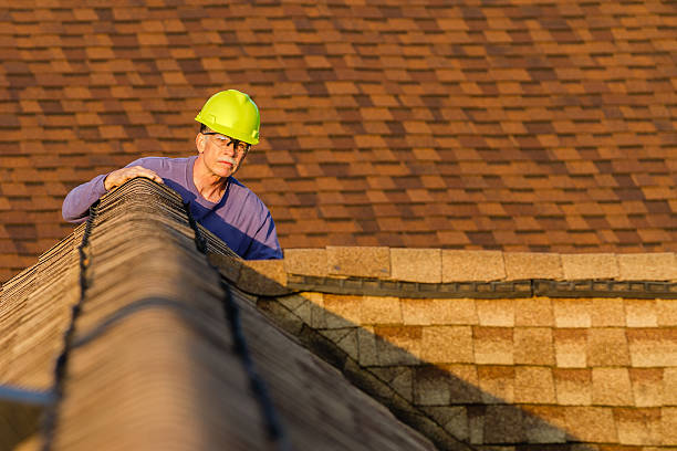 Roof Gutter Cleaning in Tripoli, IA